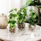 Elegant Trio: Artificial Tabletop Greenery in Clear Glass Pots